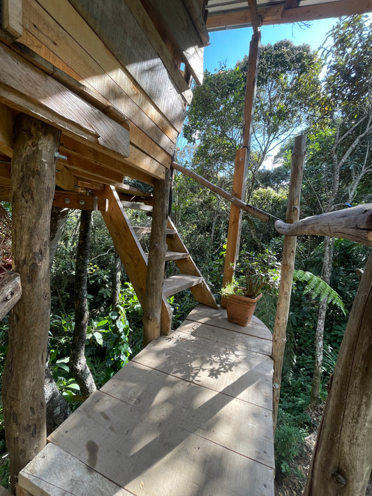 Boomhut in Colombia